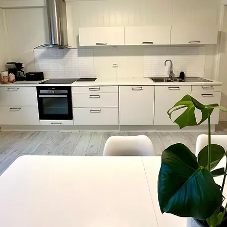 In The Heart Of Apartment Andalsnes