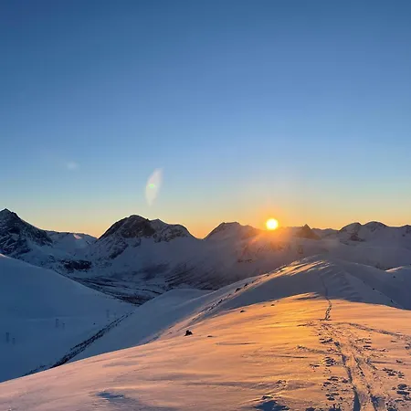 In The Heart Of Appartement *