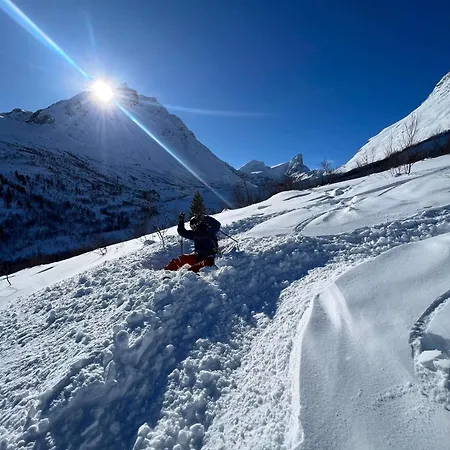 In The Heart Of Appartement