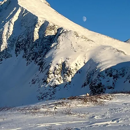 Appartement In The Heart Of Åndalsnes